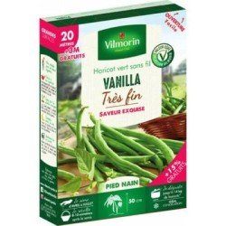 Conditionnement Haricot vert sans fil VANILLA - VILMORIN