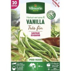 Haricot vert sans fil VANILLA - VILMORIN