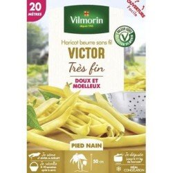 Haricot beurre sans fil VICTOR - VILMORIN