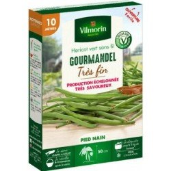 Conditionnement Haricot vert sans fil GOURMANDEL - VILMORIN