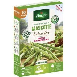 Conditionnement Haricot vert sans fil MASCOTTE - VILMORIN