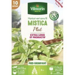 Haricot vert sans fil MISTICA - VILMORIN