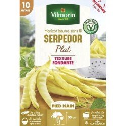 Haricot beurre sans fil SERPEDOR - VILMORIN