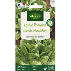 Laitue Roumaine BLONDE MARAÎCHÈRE - VILMORIN