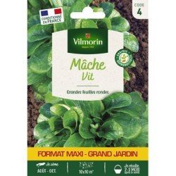 Mâche VIT - VILMORIN