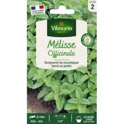 Mélisse Officinale - VILMORIN