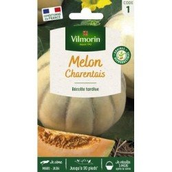 Melon CHARENTAIS - VILMORIN