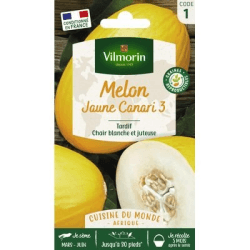 Melon Jaune Canari 3 - VILMORIN