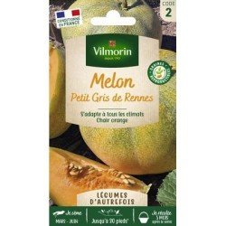 Melon Petit Gris de Rennes - VILMORIN