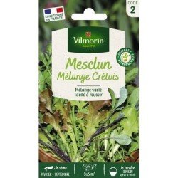 Mesclun Mélange Crétois - VILMORIN