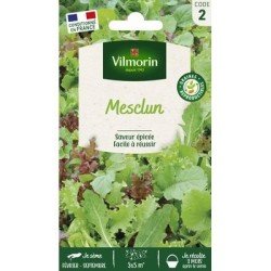 MESCLUN de 7 salades - VILMORIN