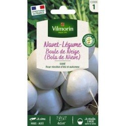 Navet Rond Boule de Neige SNOWBALL - VILMORIN