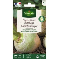 Rutabaga WILHELMSBURGER (à collet vert) - VILMORIN