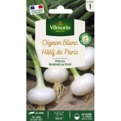 Oignon Blanc Hâtif de PARIS - VILMORIN