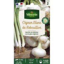 Oignon Blanc de Rebouillon - VILMORIN