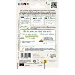 Conditionnement Oignon Blanc de Rebouillon - VILMORIN