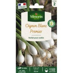 Oignon Blanc PREMIER - VILMORIN