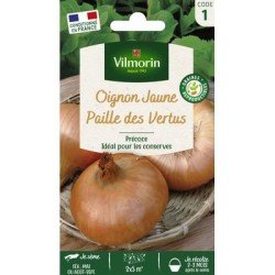 Oignon Jaune PAILLE DES VERTUS - VILMORIN