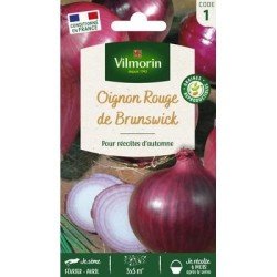 Oignon Rouge de BRUNSWICK - VILMORIN