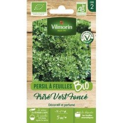 Persil Frisé VERT FONCÉ BIO - VILMORIN