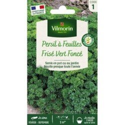 Persil Frisé VERT FONCÉ - VILMORIN