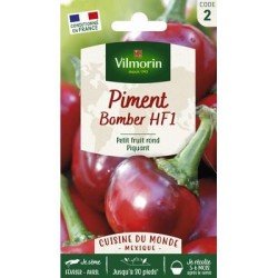 Piment BOMBER - VILMORIN