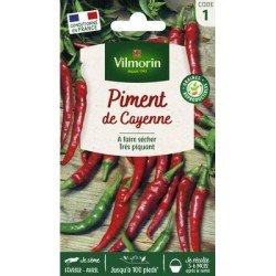 Piment de CAYENNE - VILMORIN