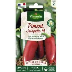 Piment JALAPEÑO - VILMORIN