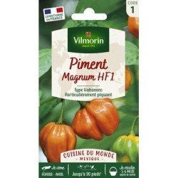 Piment MAGNUM - VILMORIN