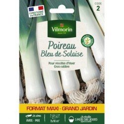 Poireau BLEU de SOLAISE - VILMORIN