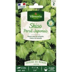 Shiso Vert (Persil Japonais) - VILMORIN