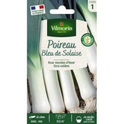 Poireau BLEU DE SOLAISE - VILMORIN