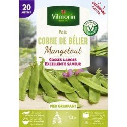 Pois mangetout CORNE DE BELIER - VILMORIN