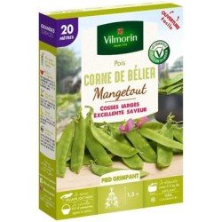 Conditionnement Pois mangetout CORNE DE BELIER - VILMORIN