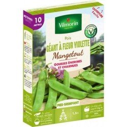 Conditionnement Pois mangetout GÉANT Á FLEUR VIOLETTE - VILMORIN