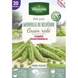 Petit pois MERVEILLE DE KELVÉDON - VILMORIN