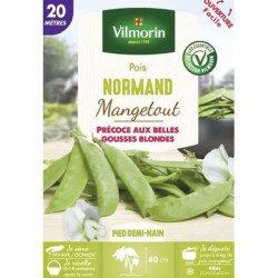 Pois mangetout NORMAND - VILMORIN