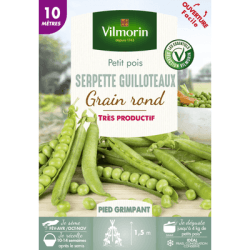 Petit pois SERPETTE GUILLOTEAUX - VILMORIN