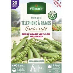 Petit pois TÉLÉPHONE Á RAMES - VILMORIN