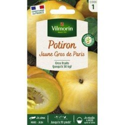 Potiron JAUNE GROS DE PARIS - VILMORIN