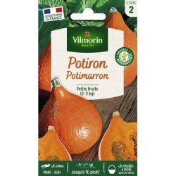 Potiron POTIMARRON - VILMORIN