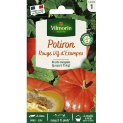 Potiron ROUGE VIF D'ETAMPES - VILMORIN