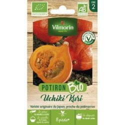 Potiron UCHIKI KURI BIO - VILMORIN