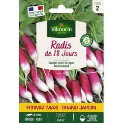 Radis de 18 jours - VILMORIN