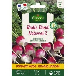 Radis NATIONAL 2 - VILMORIN