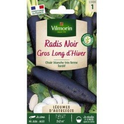 Radis Noir Gros Long d'hiver - VILMORIN