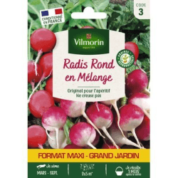 Radis Ronds en Mélange - VILMORIN