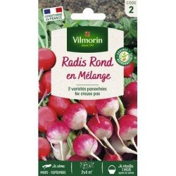 Radis Ronds en Mélange - VILMORIN