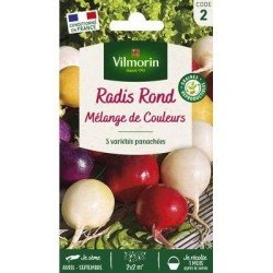 Radis Ronds Mélange de Couleurs - VILMORIN