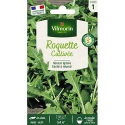 Roquette Cultivée - VILMORIN